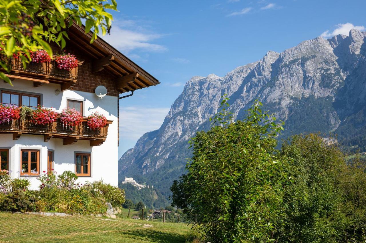 Unterschwabegghof Apartman Werfen Kültér fotó